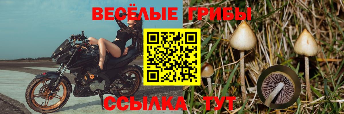 Галлюциногенные грибы мухоморы  Вход с VPN  Усолье-Сибирское 
